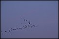 LF2006053.jpg