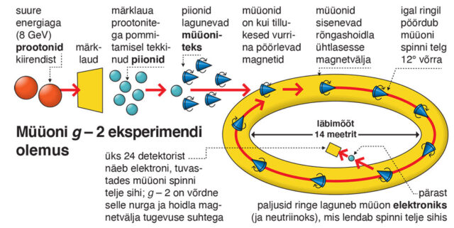 müüonieksperiment