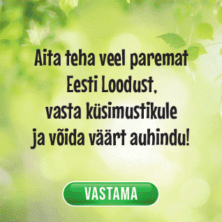 kusitlus