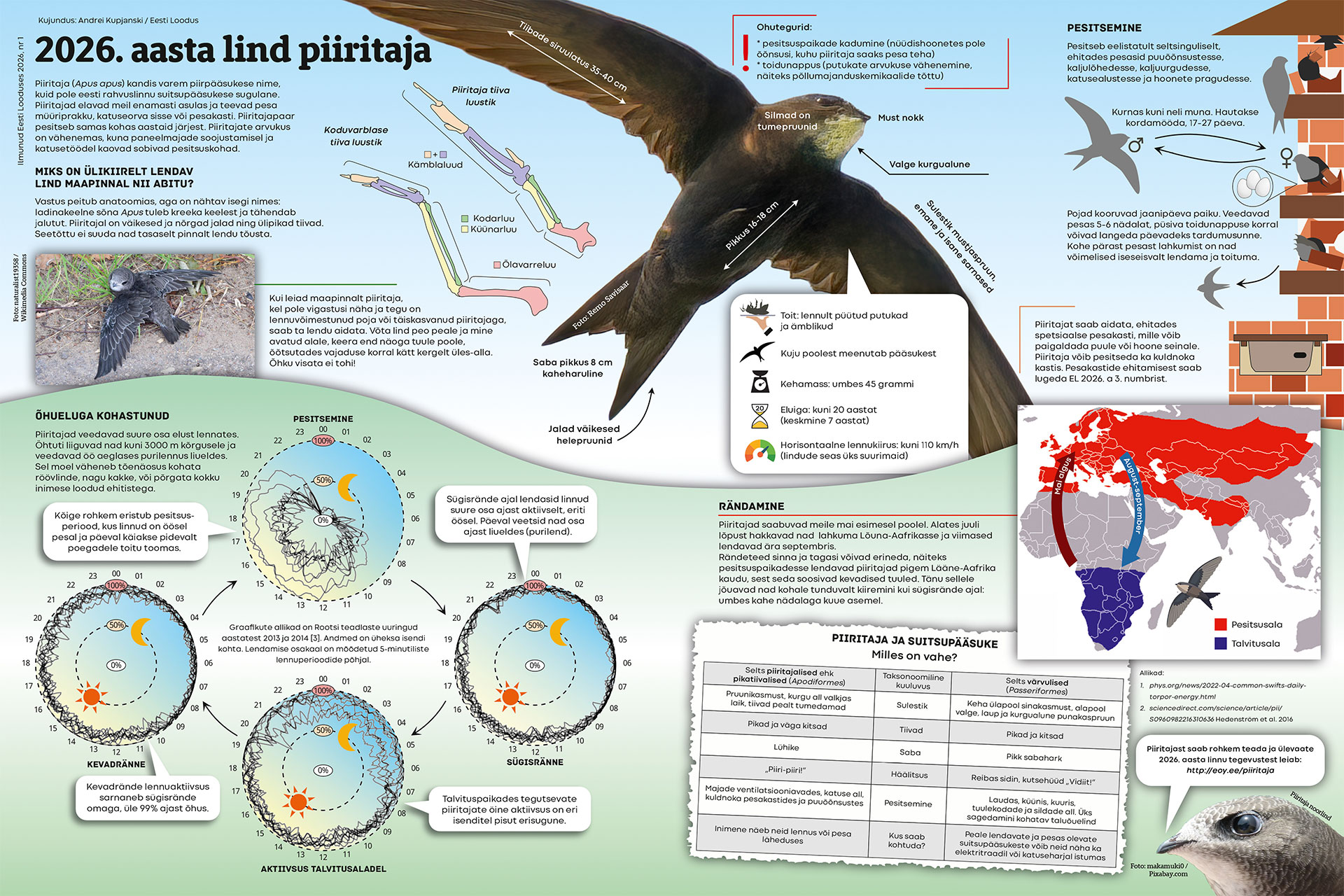 aasta lind piiritaja
