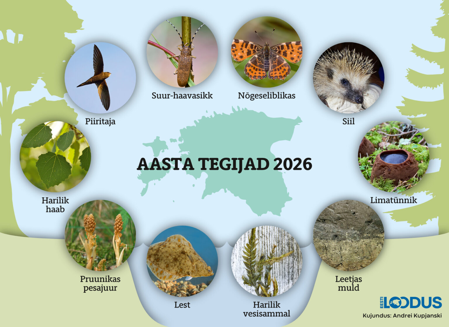 POSTER: 2026. aasta tegijad looduses | Loodusajakiri
