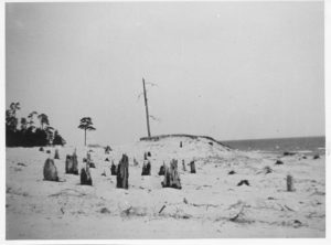 Limo luited Ruhnu rannas: silma hakkavad murdunud ja liiva alla mattunud puutüved. Pildi autor, John Lindström, oli 1937-1940 Ruhnus kirikuõpetaja, seega on foto tehtud tõenäoliselt tol ajal.
