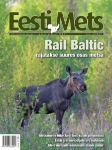 Eesti Mets suvi 2017. Foto: Remo Savisaar Eesti Mets 2-2017 Remo Savisaar_veeb