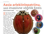 thumbnail of arlekiinlepatriinu