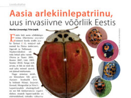 thumbnail of arlekiinlepatriinu