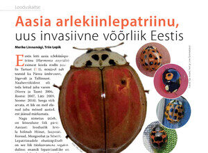 thumbnail of arlekiinlepatriinu