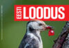 thumbnail of EL8_2022