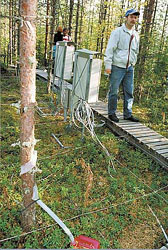 Helsingi Ülikooli Hyytiälä metsanduse välijaamas mõõdetakse metsa seisundit